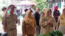 Bupati Purworejo Hj Yuli Hastuti SH beserta rombongan meninjau Pasar Tani di halaman Kantor DKPP Kabupaten Purworejo, Selasa (27/02/2024).