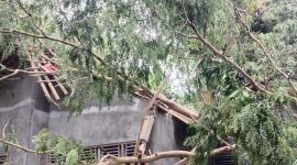 Kondisi rumah warga yang tertimpa pohon di Kabupaten Purworejo, Jawa Tengah. (Foto. Fauzi)