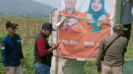 Penertiban APK Pilkada 2024 di wilayah Kecamatan Mlandingan, Kabupaten Situbondo.