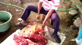 Relawan Macan Rem-rem sedang mengiris daging sapi untuk acara syukuran atas unggulnya perolehan suara Rio-Ulfi. 