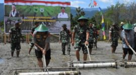 Pangdam XVIII/Kasuari, Mayjen TNI Jimmy Ramoz Manalu, S.Hub.Int., M.H.I., bersama Forkopimda Papua Barat, melaksanakan penanaman padi perdana di Kampung Bowisubur, Distrik Masni, Manokwari, Kamis (27/2/2025).