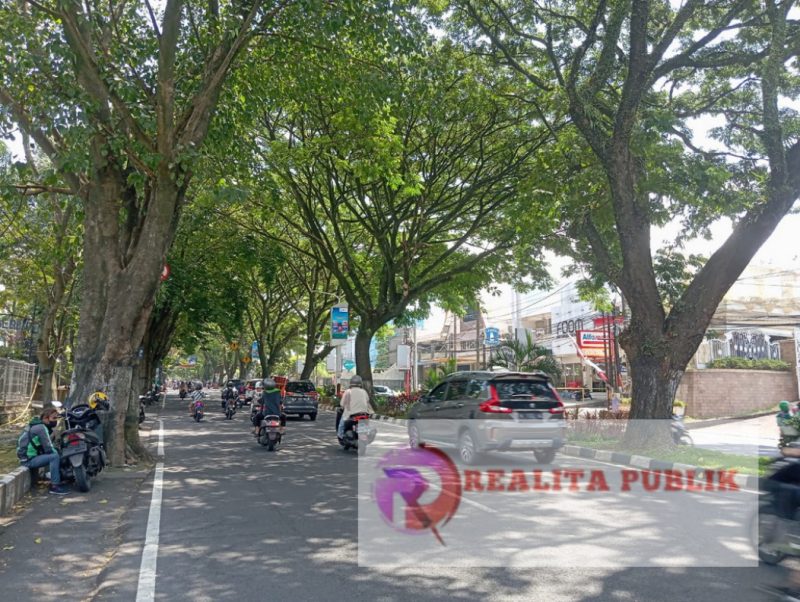 Pohon disepanjang Jalan Sukarno Hatta (Soehat), Kota Malang, Jawa Timur. (Foto Andy/realitapublik.id);