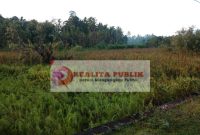 Lahan tidur yang akan dijadikan lahan persawahan di Gampong Ladang, Kecamatan Samatiga, Kabupaten Aceh Barat. (Foto: Muhibbul Jamil/realitapublik.id)