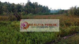 Lahan tidur yang akan dijadikan lahan persawahan di Gampong Ladang, Kecamatan Samatiga, Kabupaten Aceh Barat. (Foto: Muhibbul Jamil/realitapublik.id)