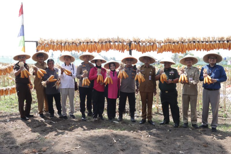 Kegiatan panen raya dihadiri Wakil Bupati Kebumen Zaini Miftah, Komandan Kodim 0709 Kebumen Ardianta Purwadhana, Kapolres Kebumen Eka Baasith Syamsuri beserta Ibu, Kepala Dinas Pemberdayaan Masyarakat dan Desa Cokro Aminoto, Kepala Dinas Pertanian dan Ketahanan Pangan Kabupaten Kebumen Teguh Yuliono