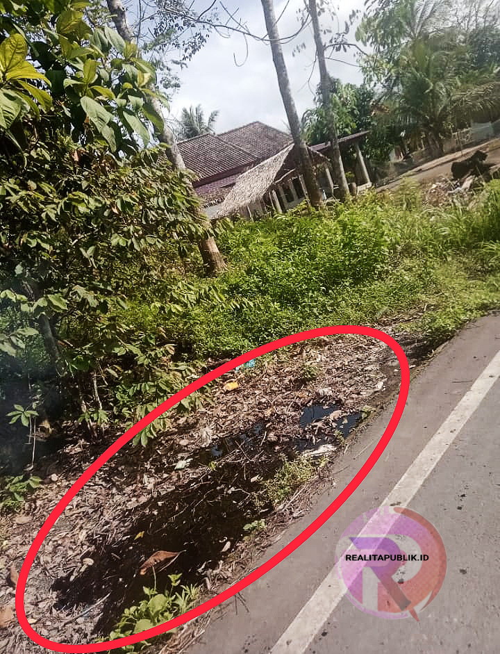 Ceceran minyak di pinggir jalan di sekitaran pipa minyak yang bocor di Desa Betung Barat, Kecamatan Abab, Kabupaten Penukal Abab Lematang Ilir (PALI), Sumsel. (Foto: Heri Lidian/realitapublik.id) 