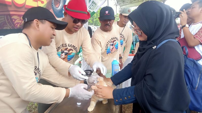 Kontes Kambing Tubaba 2025, Minggu (28/09/2025), di Lapangan Islamic Center, Tubaba, Lampung.  