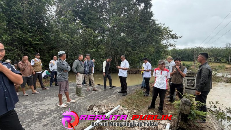 Tim Dinas PUPR Tubaba meninjau jembatan Way Nugrik yang ambrol.(Poto Rody Sandra/realitapublik.id)