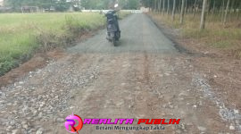 Oplus_16908288