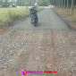Oplus_16908288