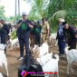 Bupati Ir. Novriwan Jaya dan Wabup Nadirsyah saat menghadiri Pengukuhan Komunitas Bolo Ngarit di Tiyuh Margodadi. (Foto: Rody Sandra/Realita Publik)