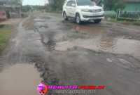 Kondisi jalan provinsi di Tiyuh Daya Sakti yang mengalami kerusakan parah dan dipenuhi lubang membahayakan. (Foto: Rody Sandra/realita publik id)