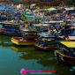 Oplus_16908288