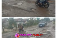 Kondisi jalan provinsi di Tiyuh Murni Jaya yang dipenuhi lubang besar (Foto: Rody Sandra/realita publik)