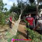 Oplus_16908288