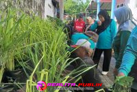 Penghijauan bersama para Kader alhi Kelurahan Trajeng (foto: Saichu Realita Publik)