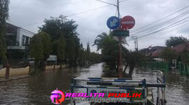 Oplus_16908288