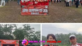 Oplus_16908288