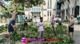 Oplus_16908288