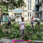 Oplus_16908288