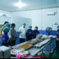 Oplus_16908288