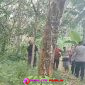 Oplus_16908288