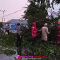 Oplus_16908288