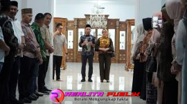 Oplus_16908288