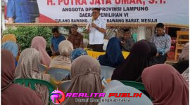 Oplus_16908288