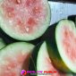 Semangka Yang belum waktunya masak tetap disajikan dan teriris tipis
