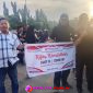 Oplus_16908288