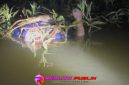 Sesosok Mayat Pria Tanpa Identitas Ditemukan Mengapung di Sungai Belakang Pabrik BTJ, Tiyuh Karta, Kecamatan Tulang Bawang Udik, Kabupaten Tulang Bawang Barat (Tubaba). 