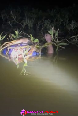 berita-rekomendasi-foto