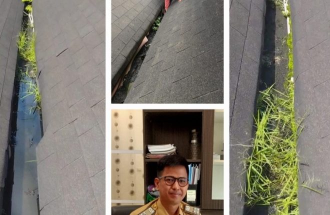 foto slider headline