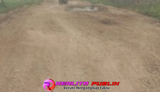 Kondisi ruas jalan kabupaten yang menghubungkan Desa Wonokarto hingga Talang Jali di Kecamatan Kotabumi Utara, Kabupaten Lampung Utara, Selasa (28/4/2026). (Photo:Rodi Sandra/realitapublik.id) 