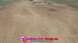 Kondisi ruas jalan kabupaten yang menghubungkan Desa Wonokarto hingga Talang Jali di Kecamatan Kotabumi Utara, Kabupaten Lampung Utara, Selasa (28/4/2026). (Photo:Rodi Sandra/realitapublik.id) 