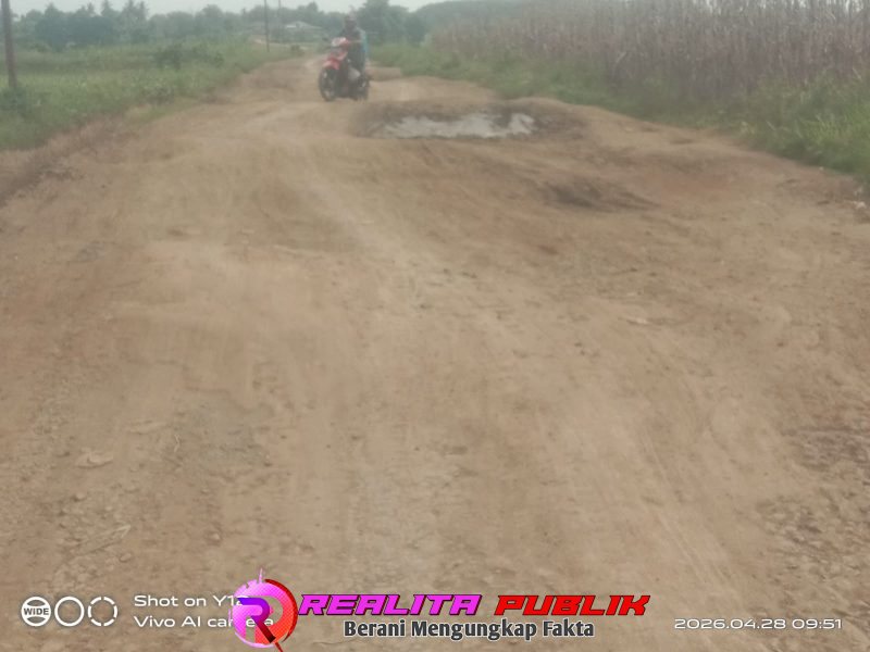 Kondisi ruas jalan kabupaten yang menghubungkan Desa Wonokarto hingga Talang Jali di Kecamatan Kotabumi Utara, Kabupaten Lampung Utara, Selasa (28/4/2026). (Photo:Rodi Sandra/realitapublik.id) 
