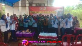Oplus_16908288