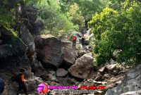 Tim SAR saat hari ke-7 pencarian terhadap korban Suwardi di Hutan Baluran. 