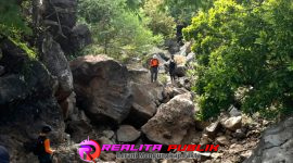 Tim SAR saat hari ke-7 pencarian terhadap korban Suwardi di Hutan Baluran. 