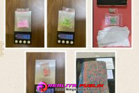 Polres PALI Ringkus IRT Pengedar Ekstasi, 30 Butir Pil Berbagai Logo Disita. 