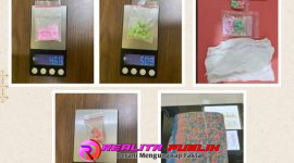 Polres PALI Ringkus IRT Pengedar Ekstasi, 30 Butir Pil Berbagai Logo Disita. 