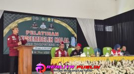 Oplus_16908288