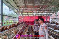 Inspiratif, Bhabinkamtibmas di PALI Sukses Rintis Ternak Ayam Petelur untuk Edukasi Warga 