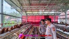 Inspiratif, Bhabinkamtibmas di PALI Sukses Rintis Ternak Ayam Petelur untuk Edukasi Warga 