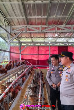 berita-rekomendasi-foto