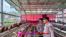 Inspiratif, Bhabinkamtibmas di PALI Sukses Rintis Ternak Ayam Petelur untuk Edukasi Warga 