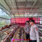 Inspiratif, Bhabinkamtibmas di PALI Sukses Rintis Ternak Ayam Petelur untuk Edukasi Warga 
