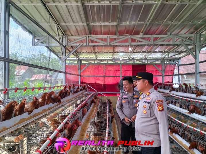 Inspiratif, Bhabinkamtibmas di PALI Sukses Rintis Ternak Ayam Petelur untuk Edukasi Warga 