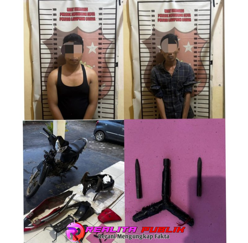 Oplus_16908288